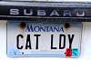 CsNumberplate.JPG