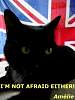 amelieitaly.jpg
