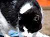 Willemcloseup2.JPG