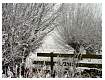 Winterscene.JPG